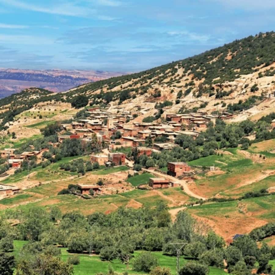 From Marrakech: High Atlas Mountains and 4 Valleys Day Trip - Price, group size, and what you really get