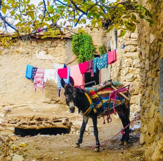 From Marrakech: Imlil Village and Kik Plateau Day Trip - Asni market day and the Amazigh mountain towns