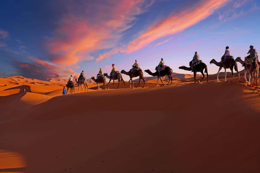 From Marrakech: Merzouga 3-Day Desert Safari with Food - Walking through Todgha Gorge on Day 2