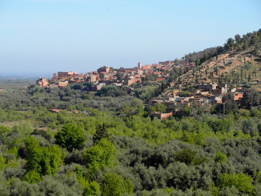 From Marrakech: Ourika Valley & Atlas Mountains Waterfalls - Should you book the Ourika Valley waterfalls tour?