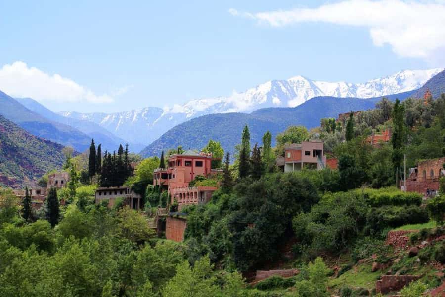 From Marrakech: Ourika Valley & Atlas Mountains Waterfalls - What the price tells you about value