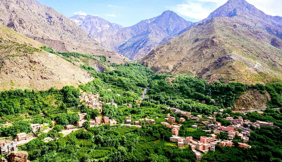 From Marrakech: Ourika Valley & Atlas Mountains Waterfalls - Argan oil, mint tea, and a working cooperative