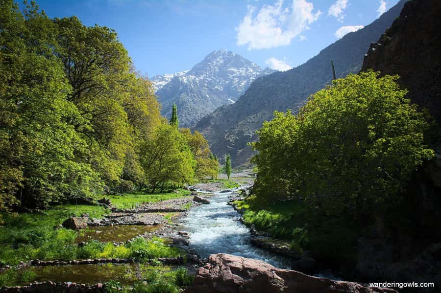 From Marrakech: Ourika Valley Day Trip with Lunch - Berber villages and the valley view