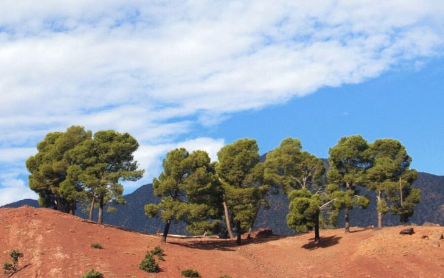 From Marrakech: Ourika Valley Tour with Lunch & Camel Ride - Walking through Ourika with a local guide