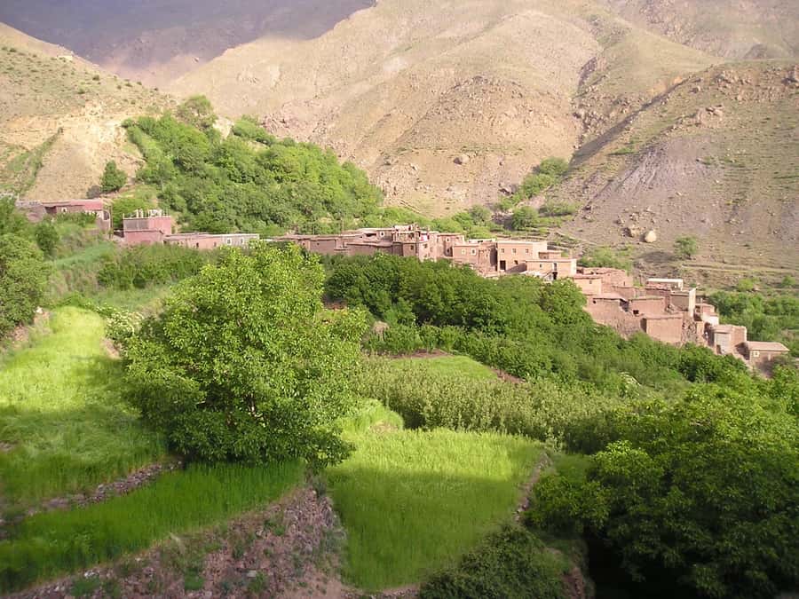 From Marrakech: Ourika Valley Trip, Waterfall Hike & Lunch - The Ourika River lunch