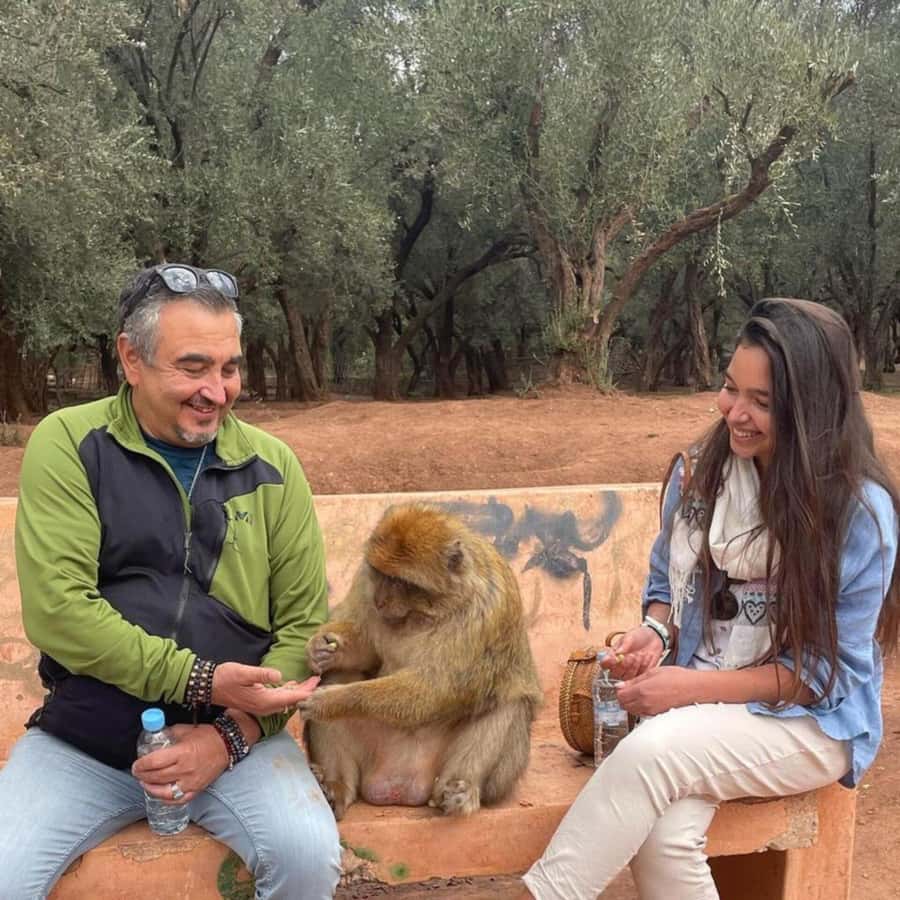 From Marrakech: Ouzoud Waterfalls Guided hike & boat Ride - Wild monkeys near the falls