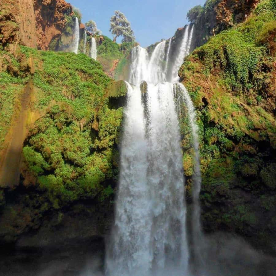 From Marrakech: Ouzoud Waterfalls Guided hike & boat Ride - Guide quality and language choices