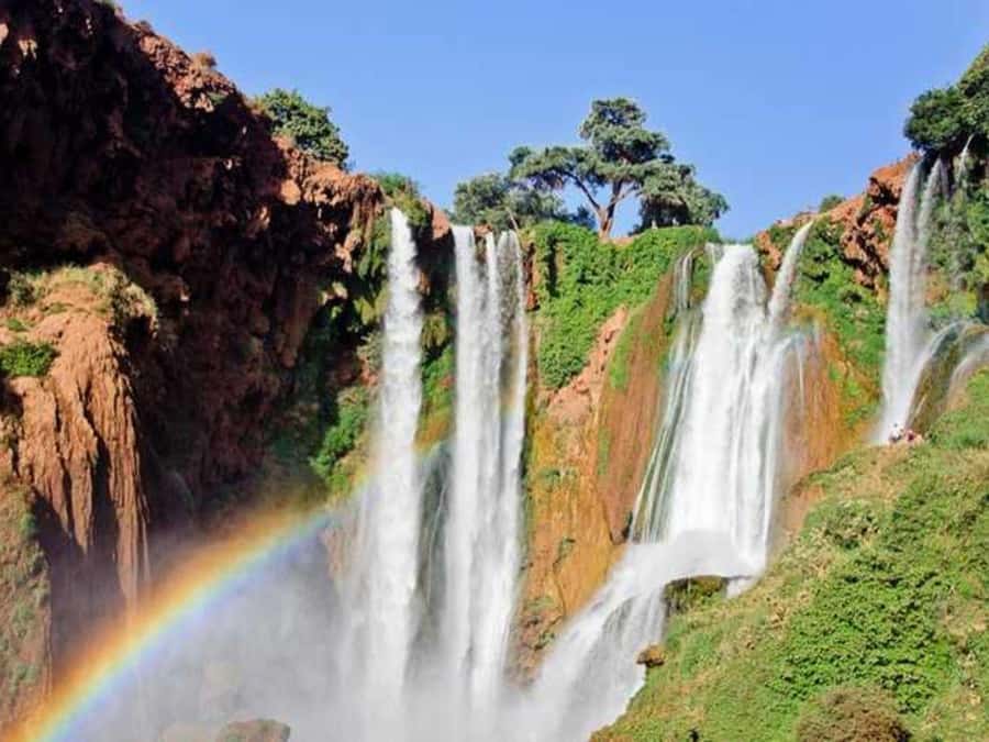 From Marrakech: Ouzoud Waterfalls Guided Trip with Boat Ride - Arriving among cliffs, trees, and three cascades