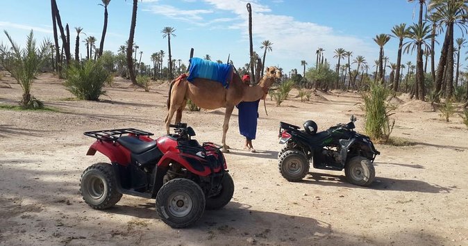 From Marrakech: Palm Grove Quad Bike and Camel Ride Tour - What the Marrakech Palmeraie outing is really like
