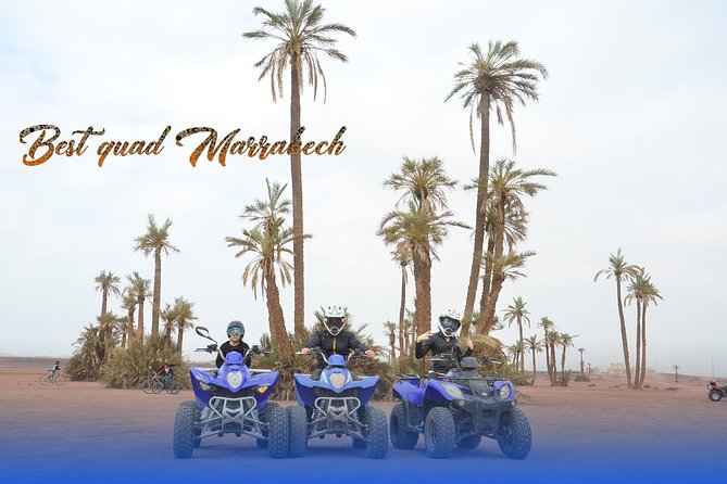From Marrakech: Palm Grove Quad Bike and Camel Ride Tour - The camel ride and photo stop