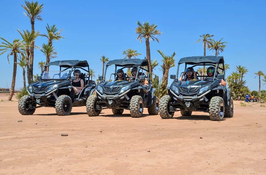 From Marrakech: Palm Grove Quad Bike Tour with Mint Tea - Key points at a glance
