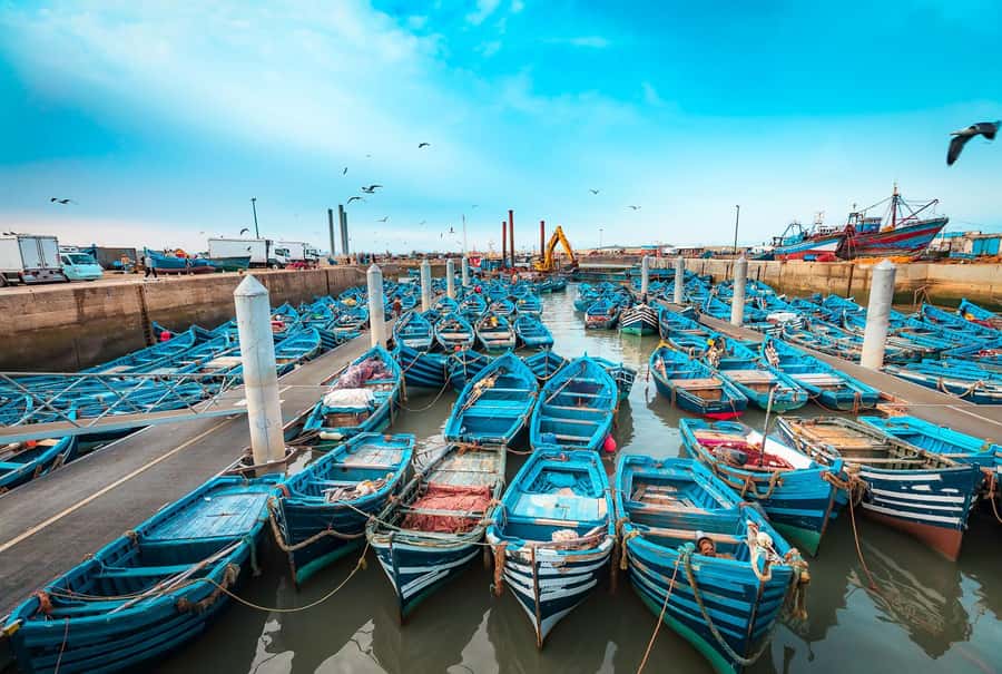 From Marrakech: Private Full-Day Essaouira Tour - Should you book the Essaouira day trip?