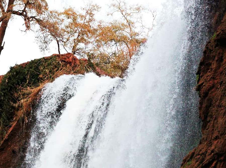 From Marrakech: Private Ouzoud Falls & Boat Ride Day Trip - Seeing the 110-meter cascades