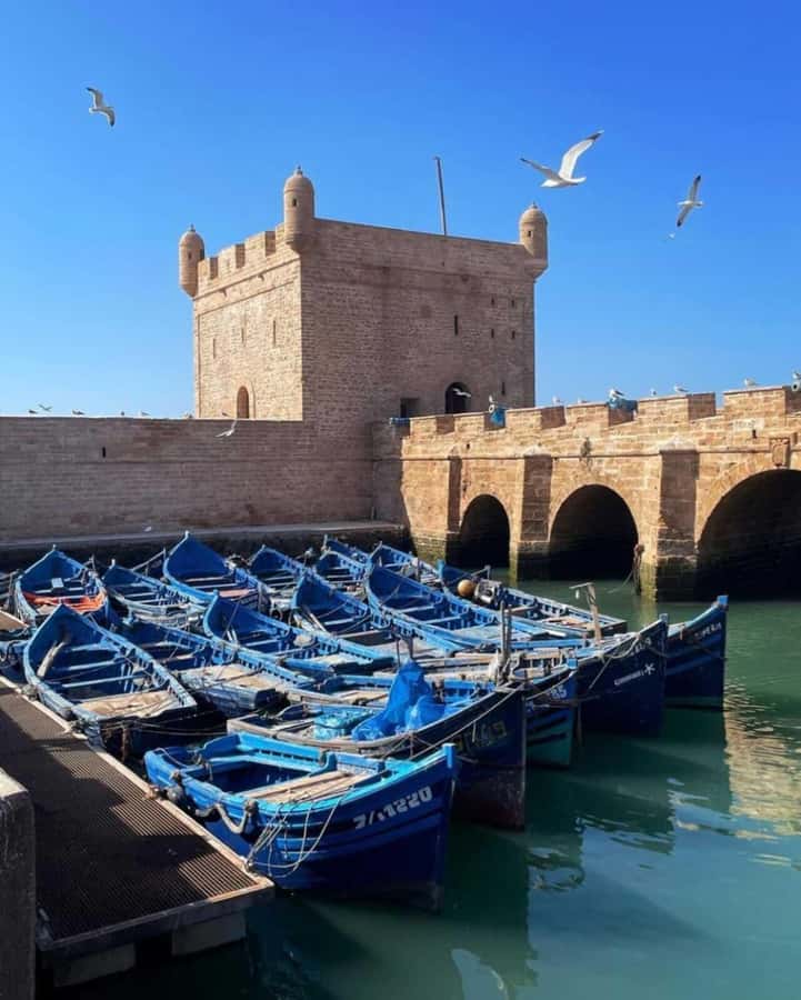 From Marrakech: small group Day Trip To Essaouira Mogador - The Marjana argan cooperative stop