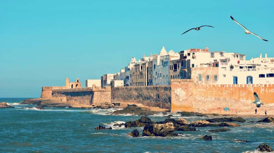 From Marrakech: small group Day Trip To Essaouira Mogador - The harbor, blue boats, and Atlantic views