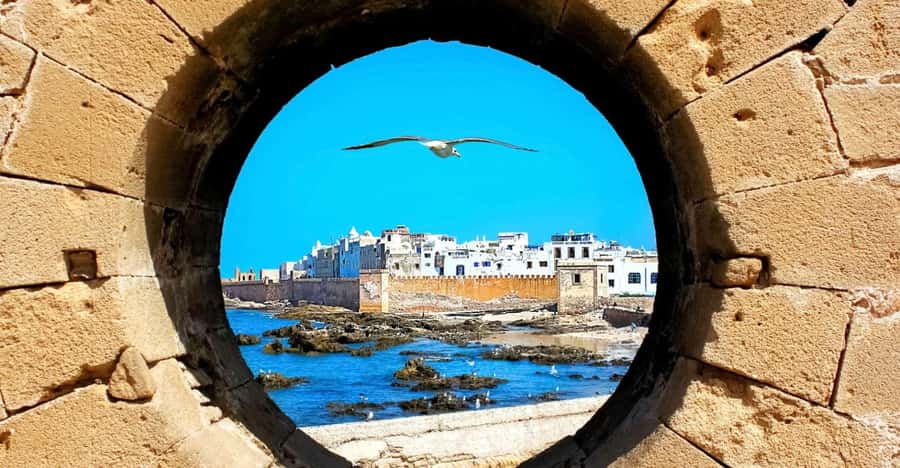 From Marrakech: Small Group To Essaouira & Medina Day Trip - The argan oil cooperative visit