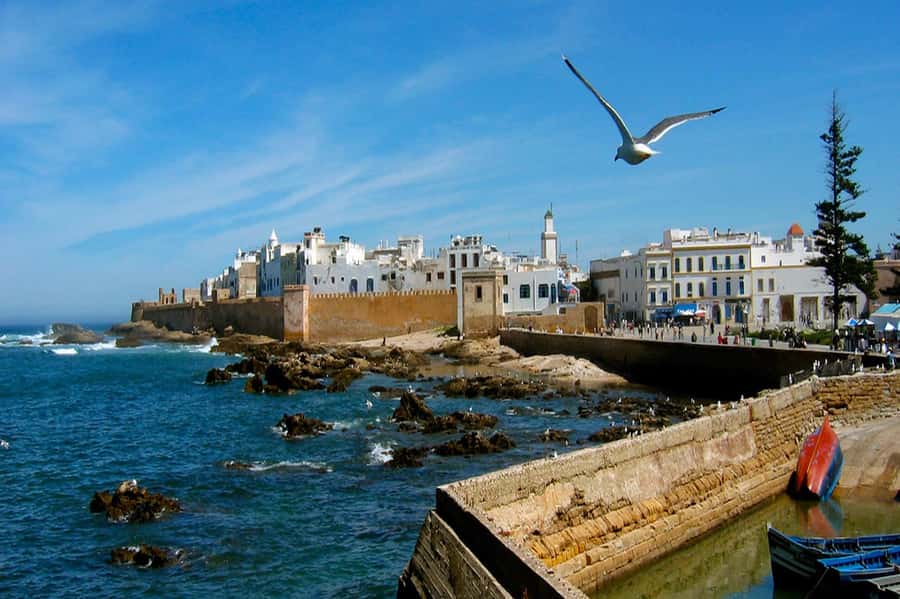 From Marrakech: Small Group To Essaouira & Medina Day Trip - What the $10 price really covers
