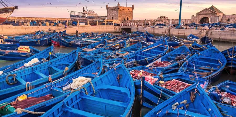 From Marrakech: Small Group To Essaouira & Medina Day Trip - The road west through Chichaoua and argan country