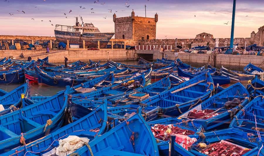 From Marrakech: Small Group to Essaouira & Sekkala Day Trip - Key points before you book
