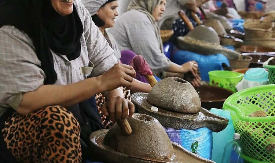 From Marrakech: Small Group to Essaouira & Sekkala Day Trip - Guides, languages, and the small-group feel
