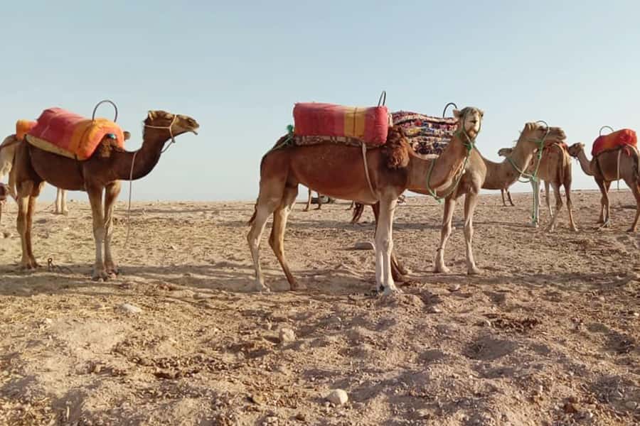 From Marrakech: Sunset Camel Ride in the Agafay Desert - Agafay gives you a desert evening without a full Sahara journey