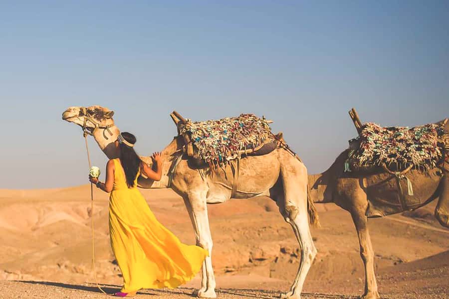From Marrakech: Sunset Camel Ride in the Agafay Desert - Reaching the plateau gives you the best photo moment