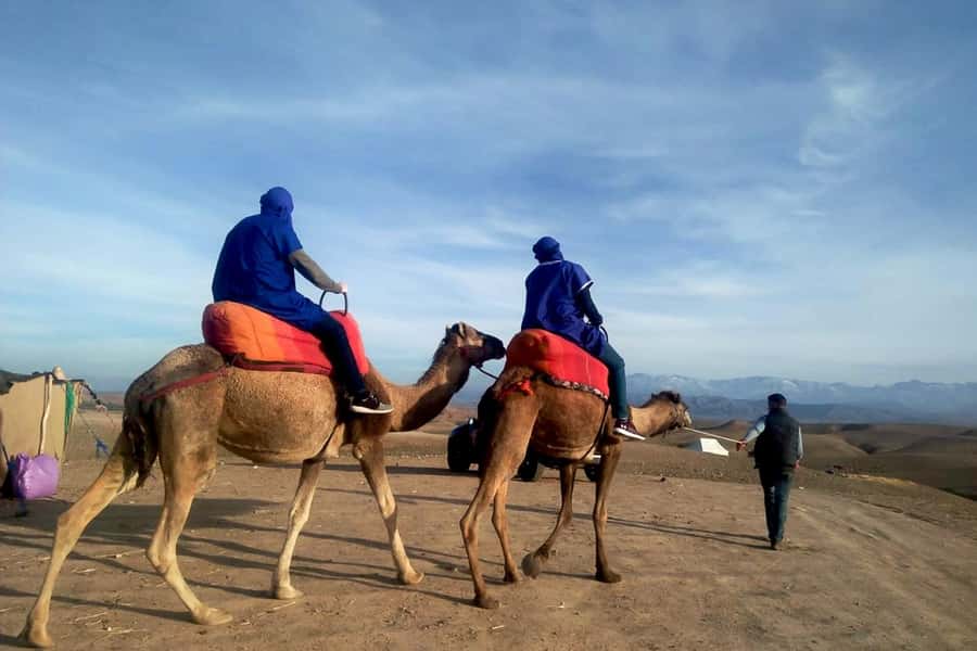 From Marrakech: Sunset Camel Ride in the Agafay Desert - Pickup from Marrakech keeps the evening simple