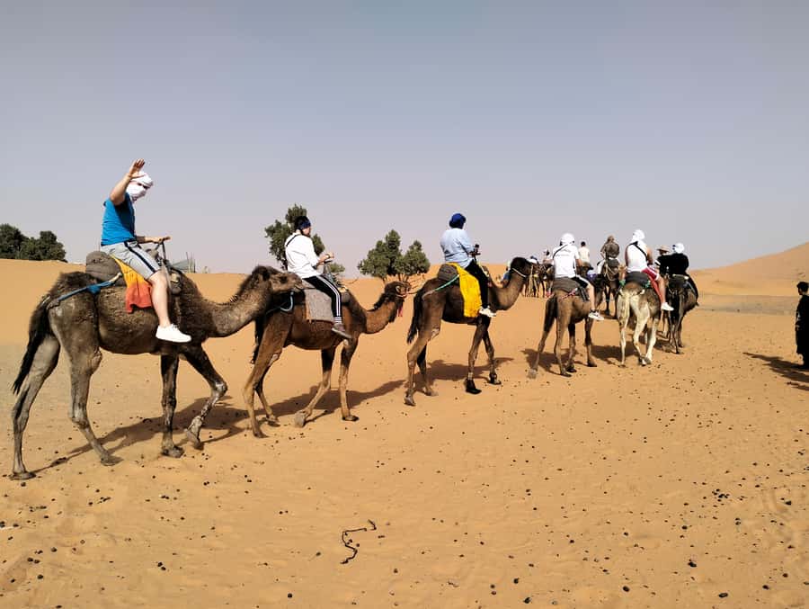 From Marrakech to Agadir : 4-Day Sahara Desert Tour - Why this route works from Marrakech to Agadir