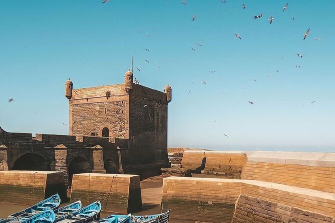 From Marrakech To Essaouira Mogador Full Day Trip | Small-group - Reaching the port and finding your own route