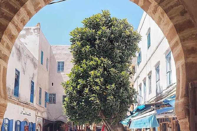 From Marrakech To Essaouira Mogador Full Day Trip | Small-group - What to do with three or four hours in Essaouira
