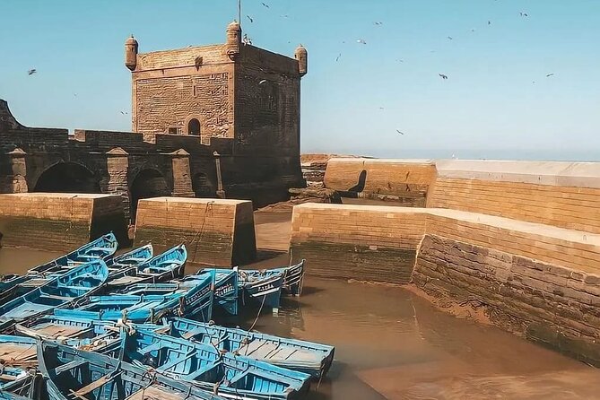 From Marrakech To Essaouira Mogador Full Day Trip | Small-group - The return journey and the day’s tight timetable