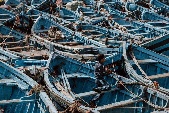 From Marrakech To Essaouira Mogador Full Day Trip | Small-group - What the $17.61 price really covers