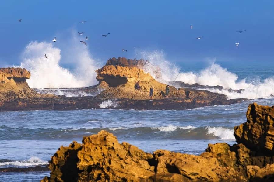 From Marrakech To Essaouira Mogador Full Day Trip Smallgroup - Four free hours around the port and medina