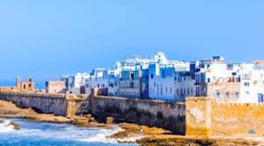 From Marrakech To Essaouira Mogador Full Day Trip Smallgroup - Transport, timing, and comfort