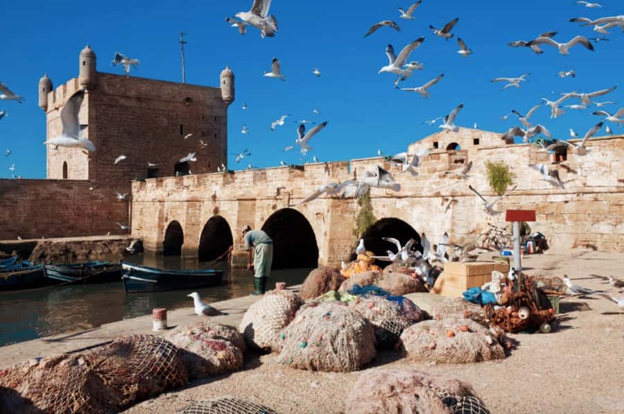 From Marrakech To Essaouira Mogador Full Day Trip Smallgroup - My booking verdict
