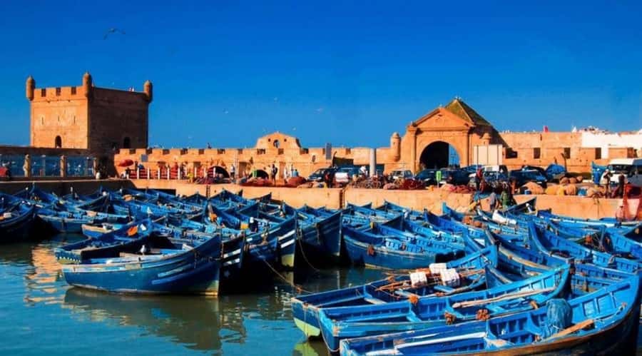 From Marrakech To Essaouira Mogador Full Day Trip Smallgroup - The first view of Essaouira