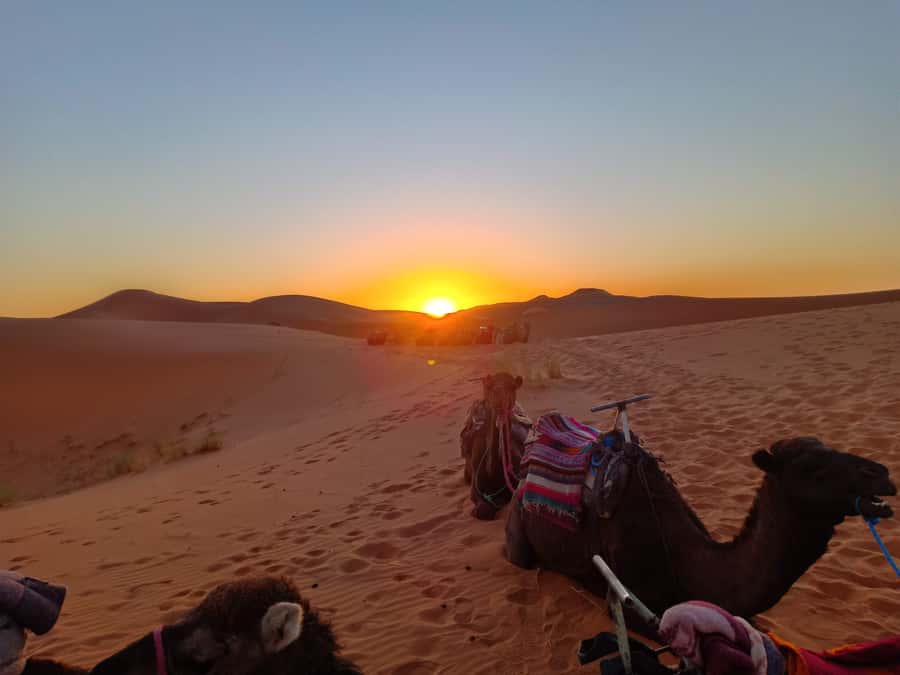 From Marrakech to Fes 3-Day Luxrury Tour via Sahara Desert - Camel riding into the Erg Chebbi dunes