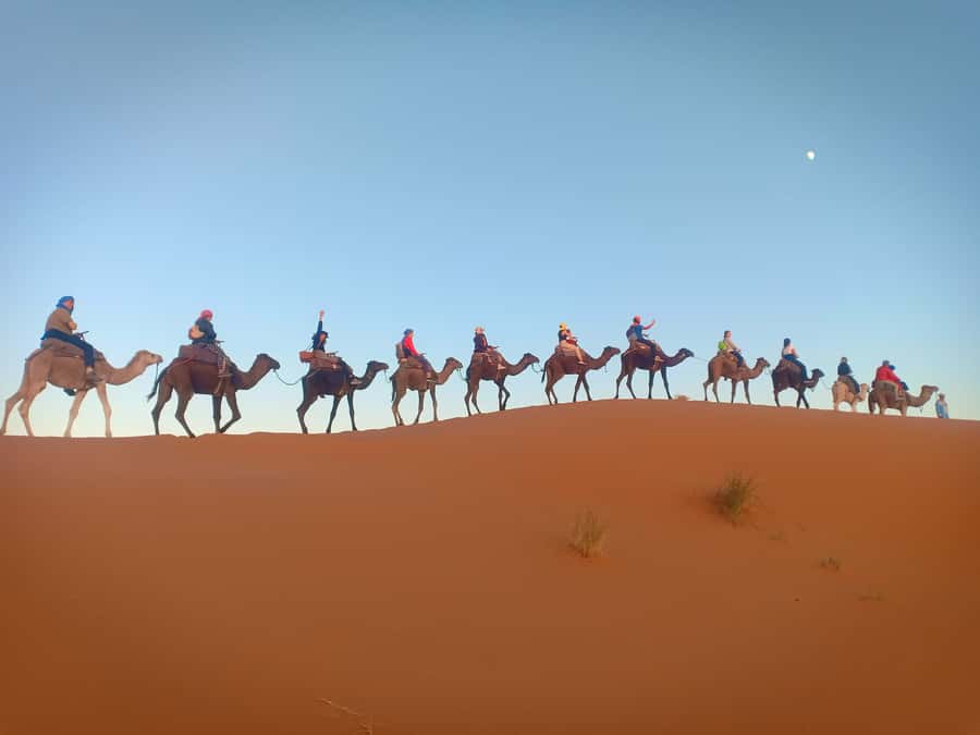 From Marrakech to Fes 3-Day Luxrury Tour via Sahara Desert - Sunrise, the Ziz Valley, and the long road to Fes