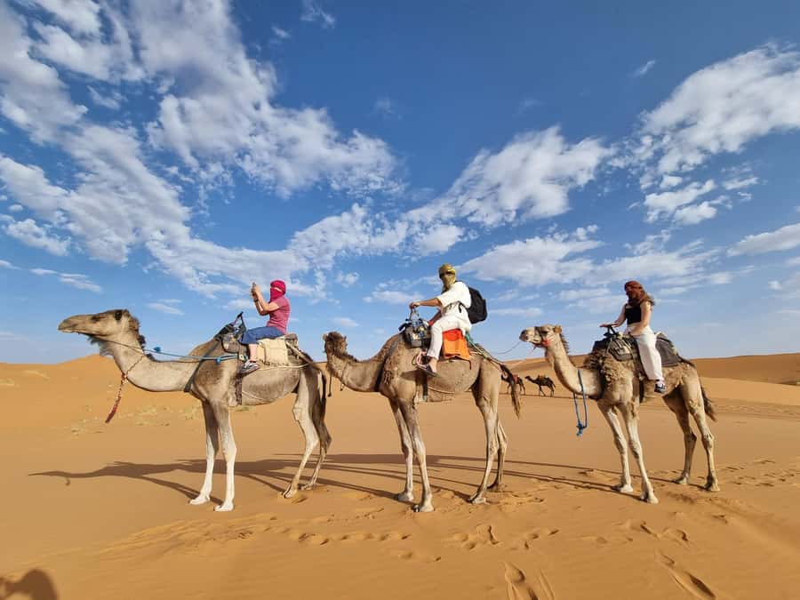 From Marrakech to Merzouga Erg Chebbi: 4-Day Desert Tour - Day 2: Todra Gorge, palm oases, and the Erg Chebbi dunes