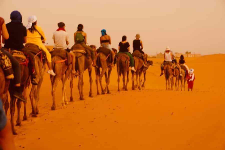 From Marrakech: Tour 3-Day To Fez Via-Desert Merzouga - Should you book the Marrakech to Fez desert tour?