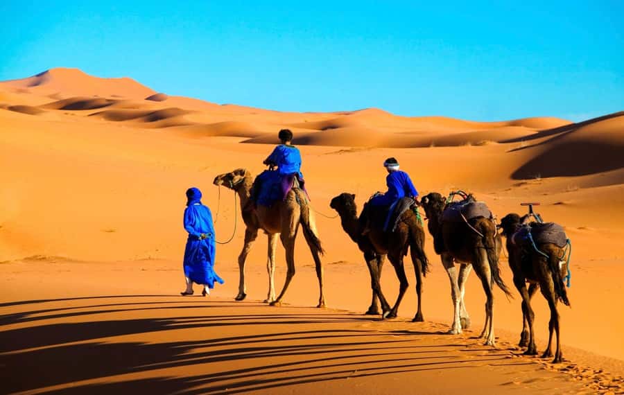 From Marrakech: Tour 3-Day To Fez Via-Desert Merzouga - Sunset by camel and a night at Erg Chebbi