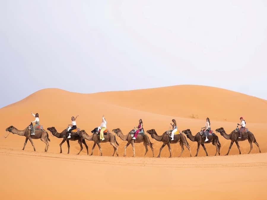 From Marrakech: Unforgettable 3-Day Desert Tour to Fes - From Marrakech over the Tizi n’Tichka Pass