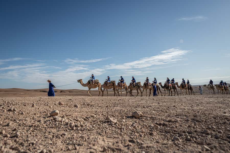 From Marrakech: VIP Agafay Desert & Oasis Camel Experience - Settling onto your camel