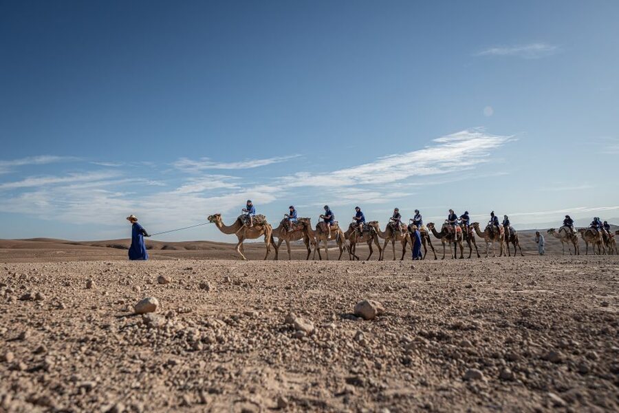 From Marrakech: VIP Agafay Desert & Oasis Camel Experience - Views, pauses, and the local house