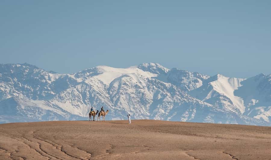 From Marrakech: VIP Agafay Desert & Oasis Camel Experience - Arriving at the Agafay oasis