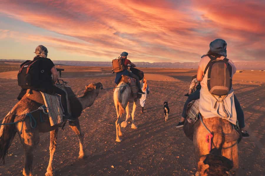 From Marrakech: Zagora 2-Day Desert Safari with Food & Camp - Ait Ben Haddou, Morocco’s famous clay kasbah