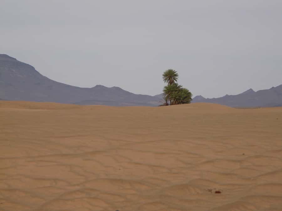 From Marrakesh: 2-Day Desert Zagoura Tour - Dinner and a night at the nomadic camp