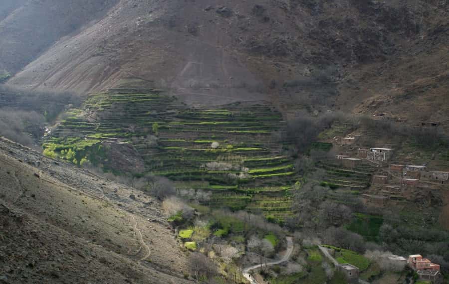 From Marrakesh: 3-Day Trip to Berber Villages - What this High Atlas trek is really like