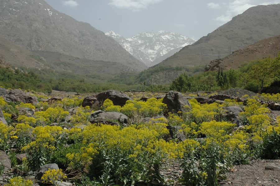 From Marrakesh: 3-Day Trip to Berber Villages - Day two: the Imnane Valley and the longest walk