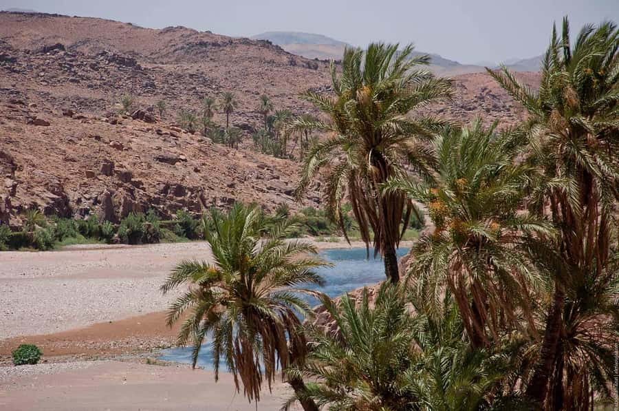 From Marrakesh: 4-Day Private Atlas Mountains & Desert Tour - Day 3: sunrise, Rissani, and back to Ouarzazate